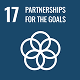 SDG 17