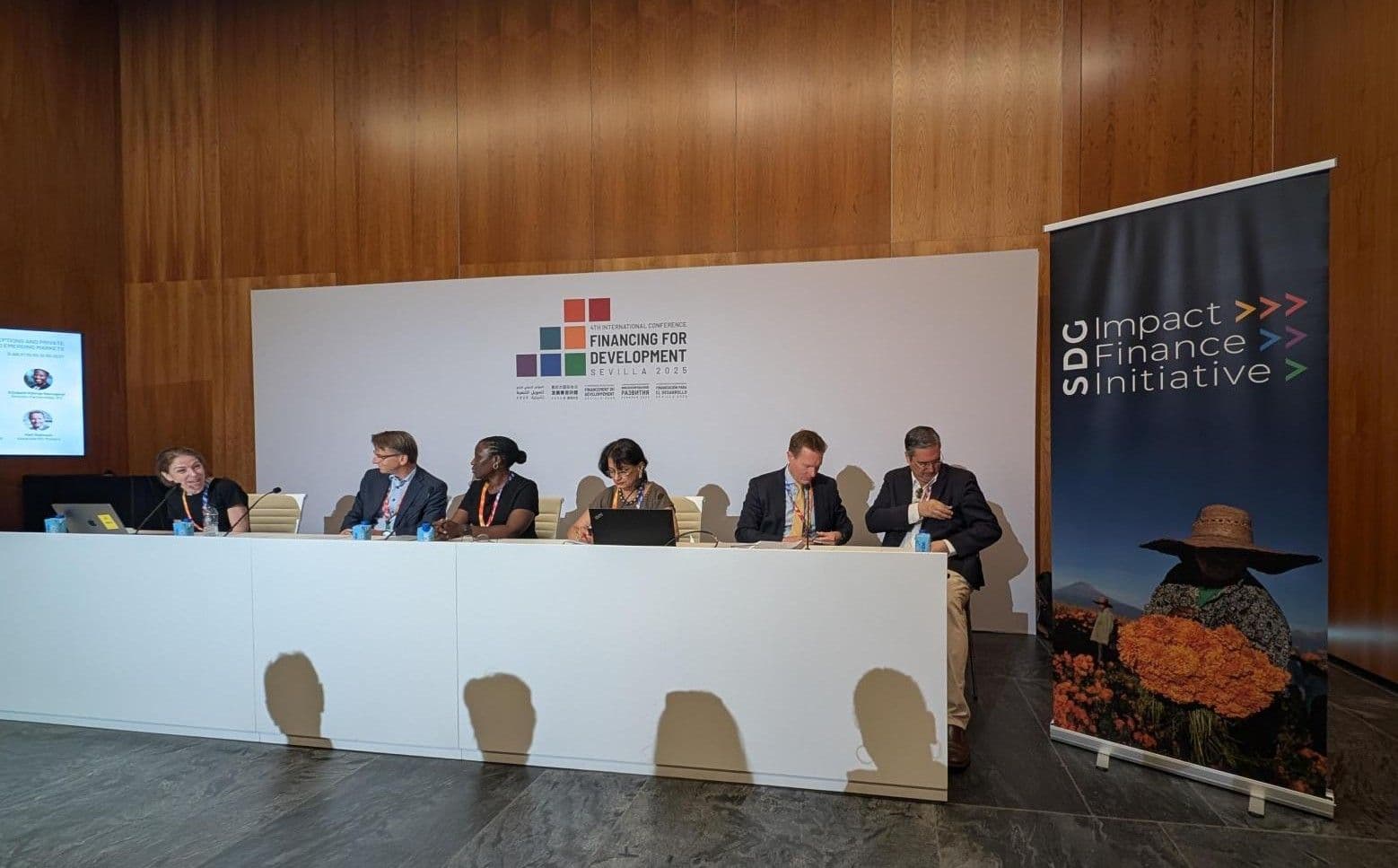 Event Summary: Mind the Gap: Bridging Risk Perceptions and Private Capital Flows to Emerging Markets